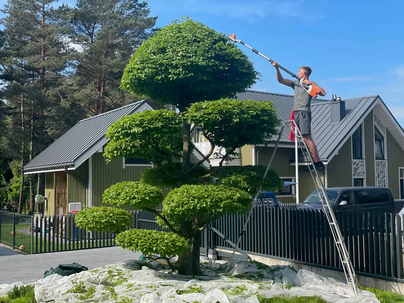 Kraštovaizdžio projektavimo darbai su takais ir želdynais