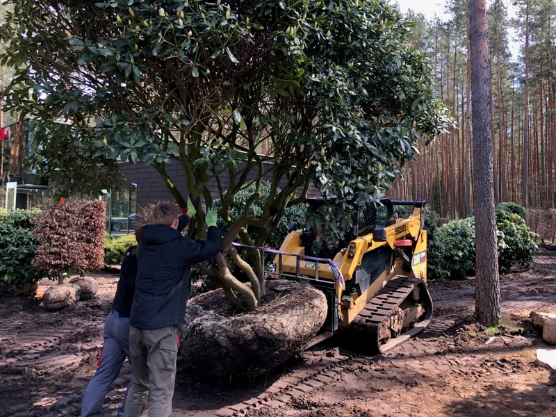 Kiemo sutvarkymas su naujais želdynais