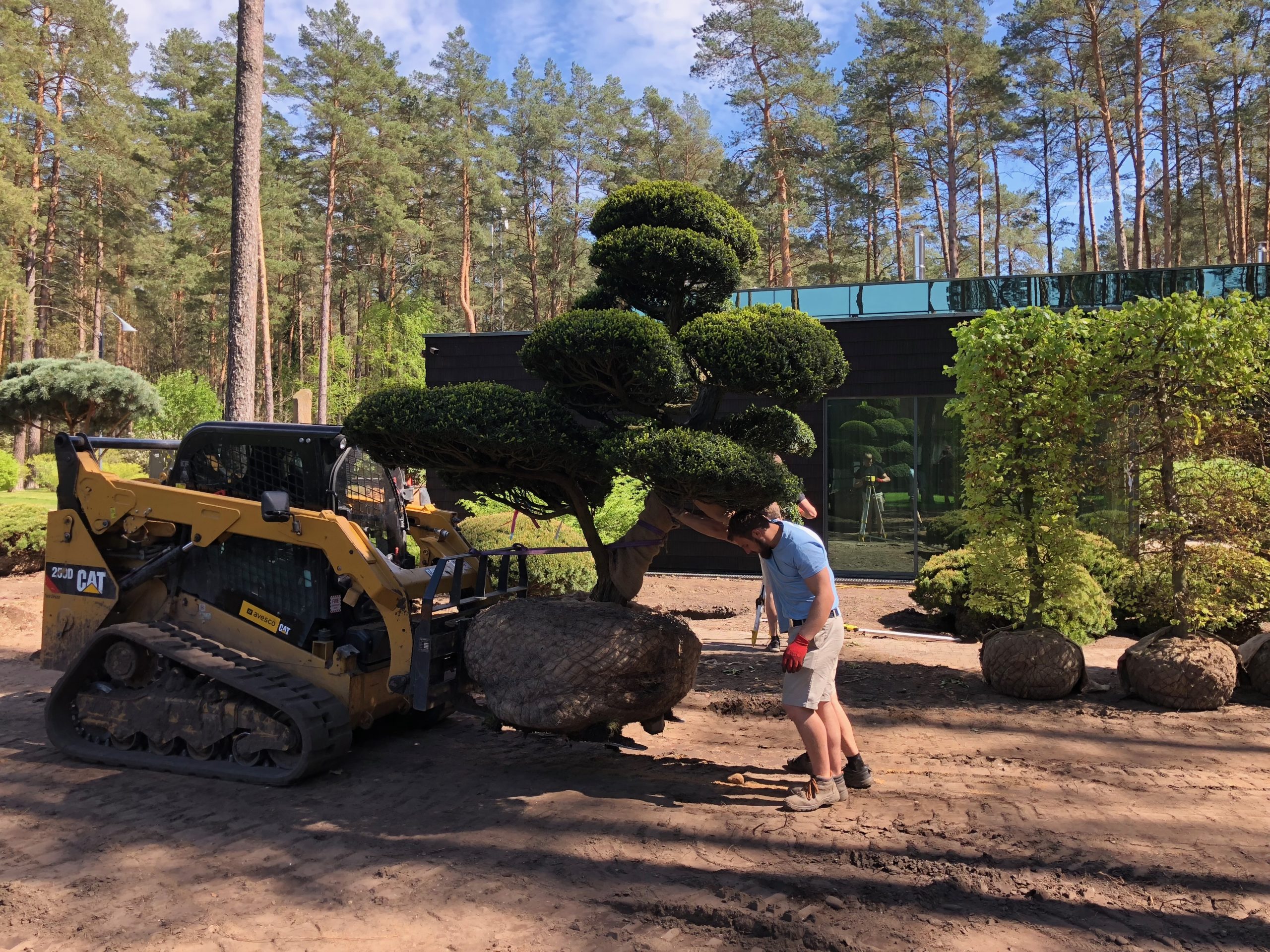 Sodo apželdinimo darbai su krūmais ir gėlėmis