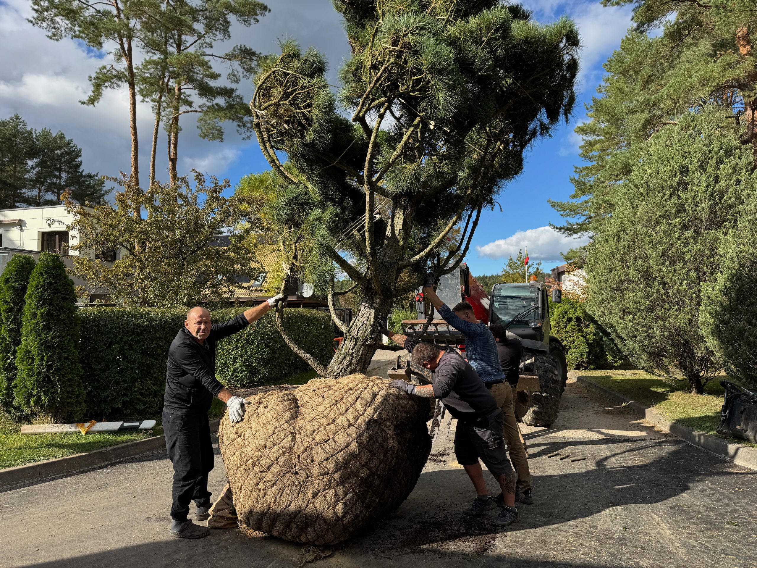 Privačios valdos kraštovaizdžio sutvarkymas