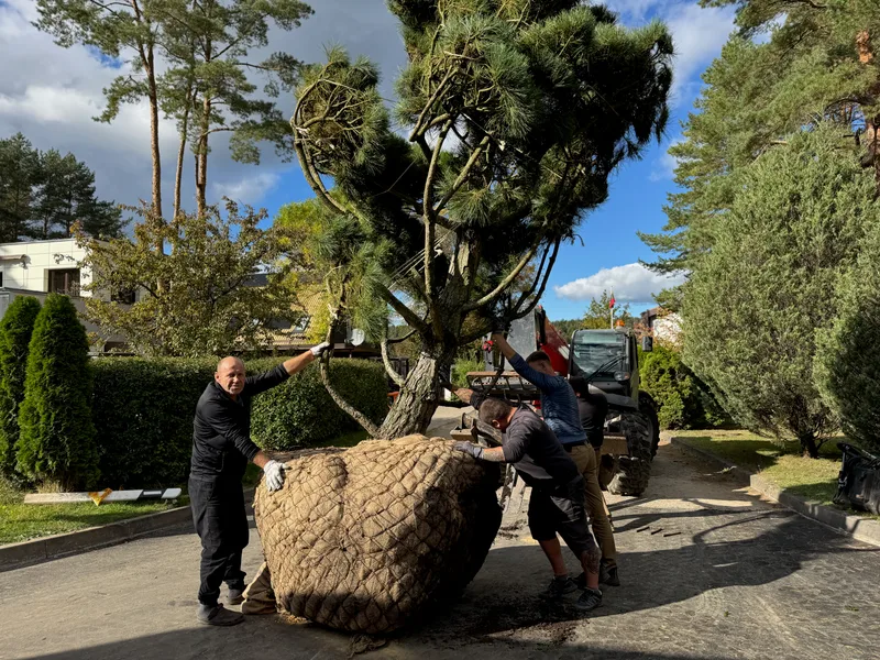 Privačios valdos kraštovaizdžio sutvarkymas