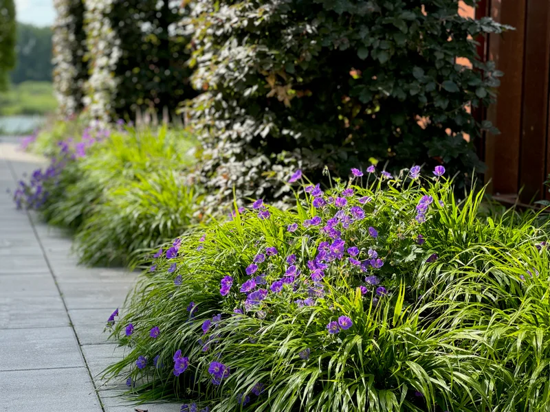 Sodo projektas su pergole ir poilsio zona