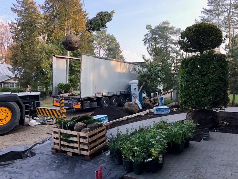 Kraštovaizdžio projektas su vandens elementais