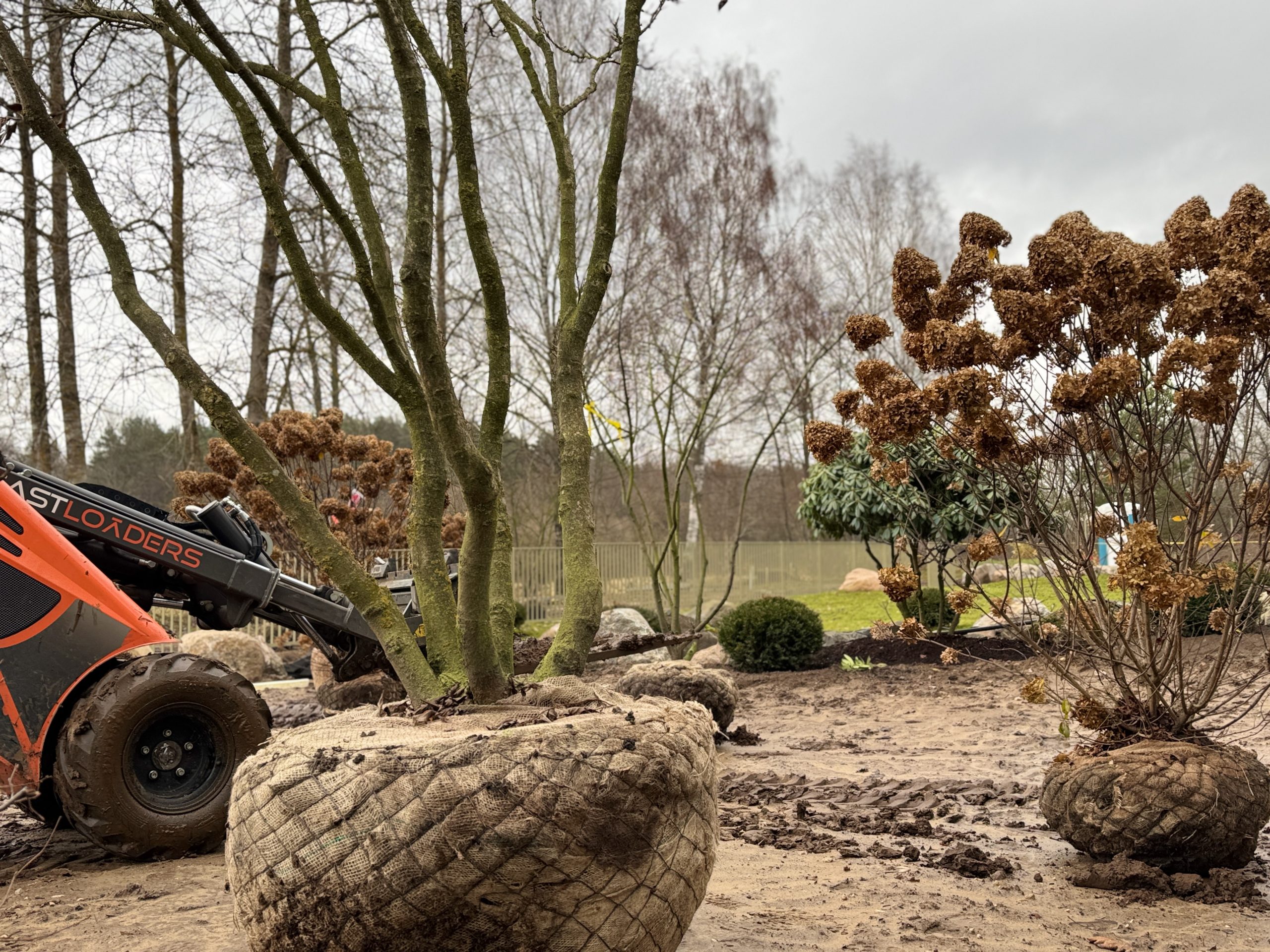 Privataus kiemo sutvarkymo projektas