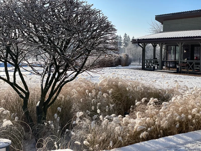 Sodo erdvės projektas su mažąja architektūra