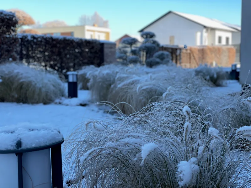 Teritorijos sutvarkymas su dekoratyviniais elementais