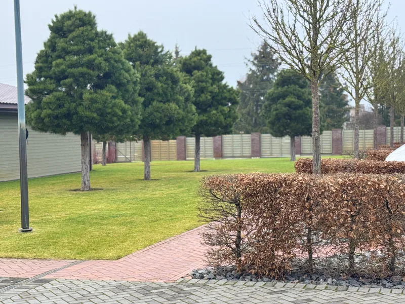 Kraštovaizdžio sutvarkymo projektas su apšvietimu