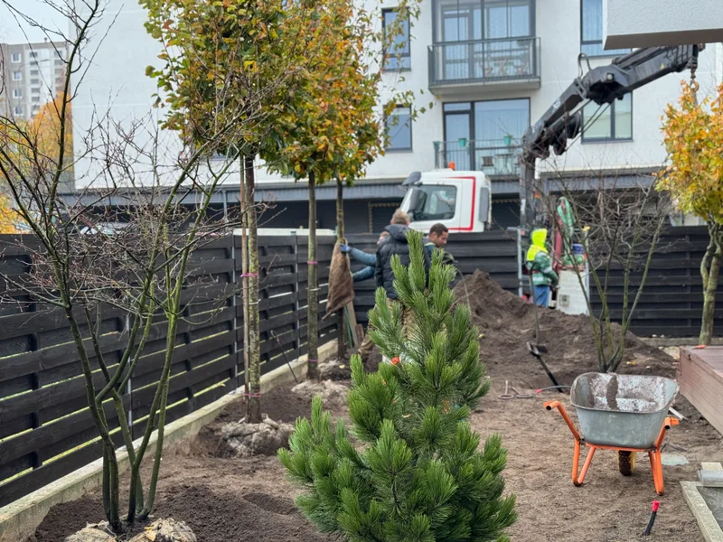 Sodo projektas su naujais medžiais ir krūmais