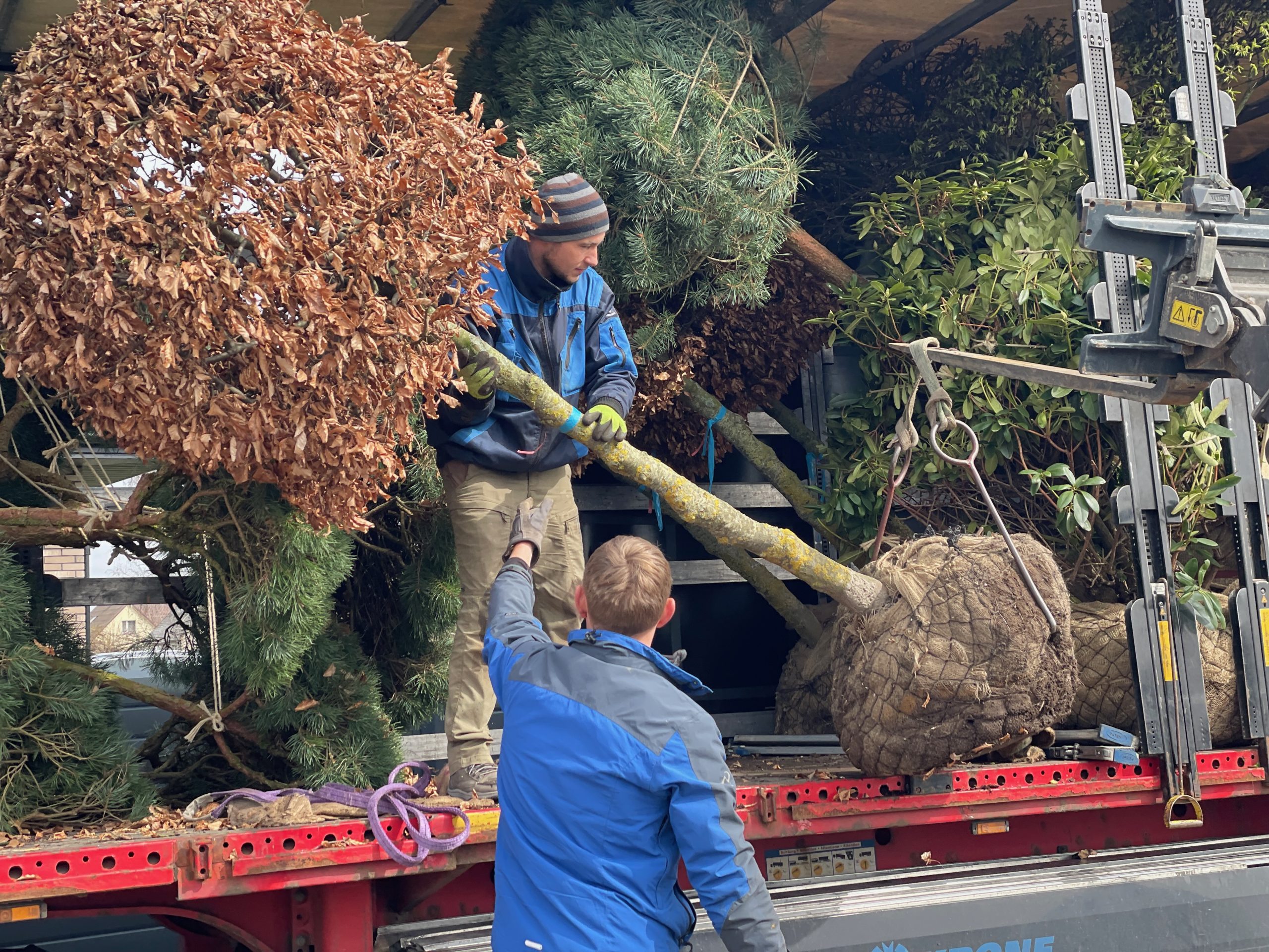 Privačios valdos aplinkos tvarkymo darbai