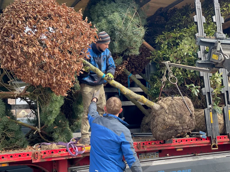 Privačios valdos aplinkos tvarkymo darbai