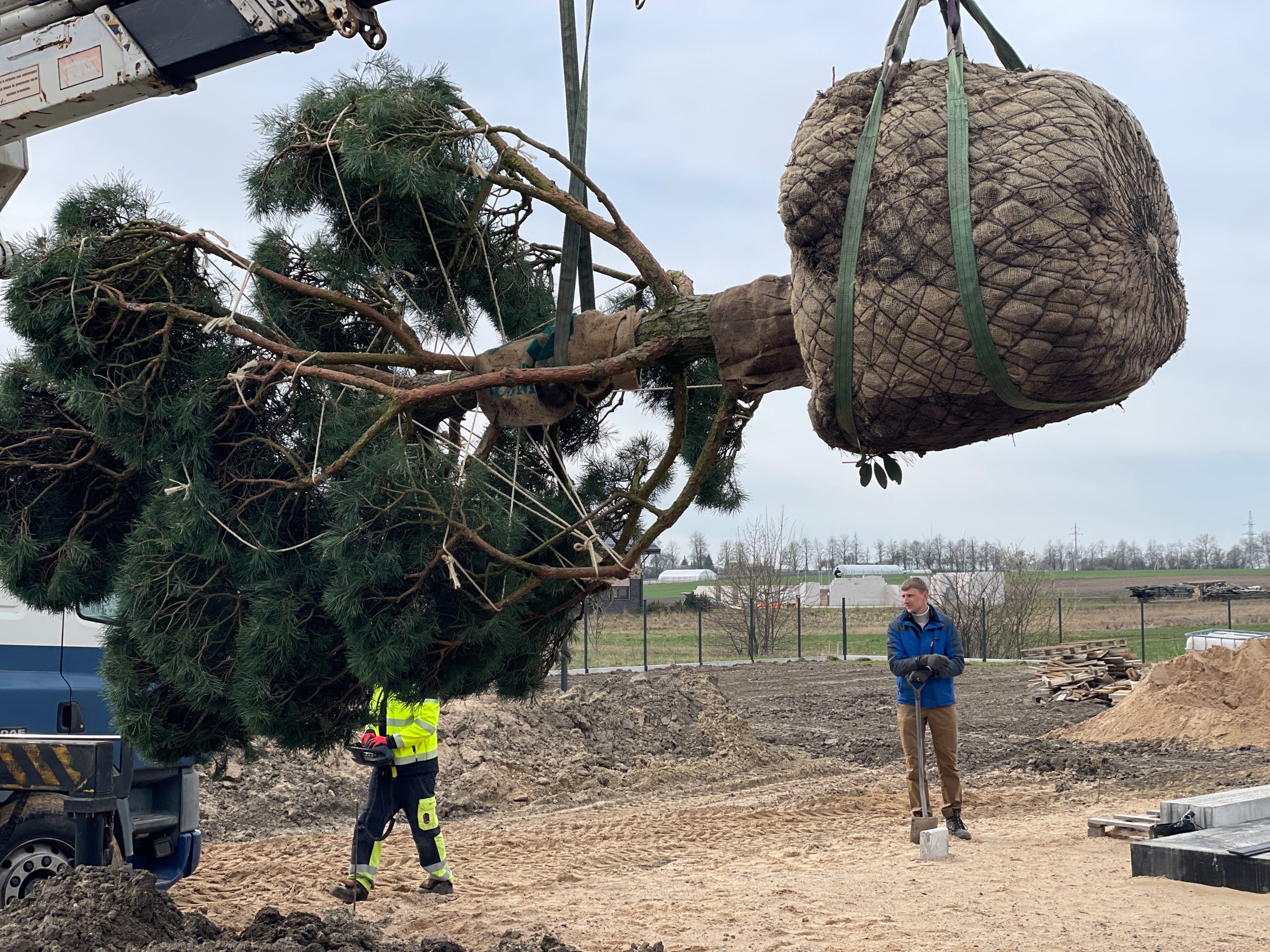 Sodo projektas su žalia veja ir dekoratyviniais elementais