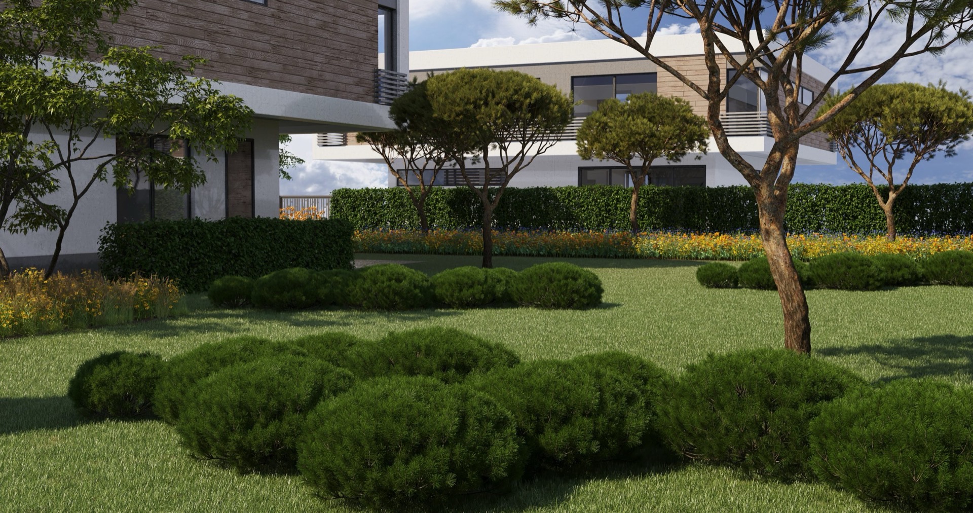 Sodo vizualizacija su terasa ir apželdinimu