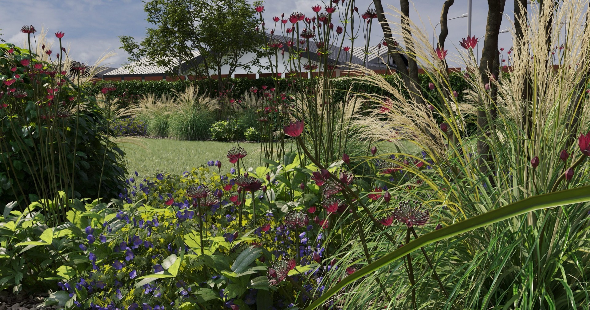 Privačios valdos apželdinimo vizualizacija