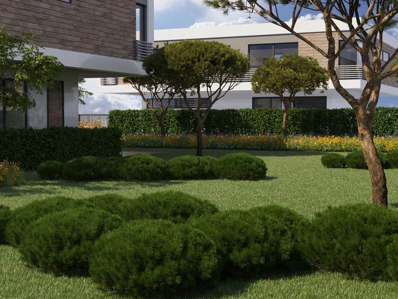 Sodo vizualizacija su dekoratyviniais augalais