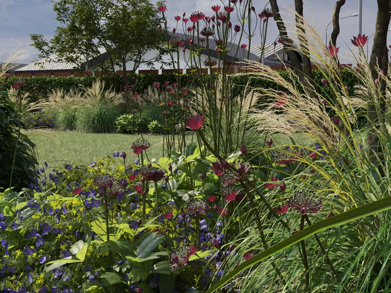 Privačios valdos apželdinimo vizualizacija