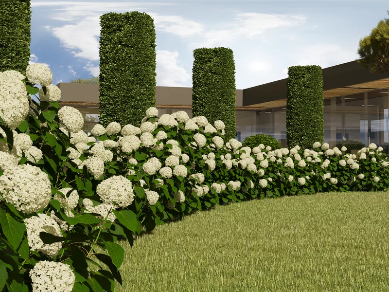 Terasos vizualizacija su želdynais ir poilsio zona