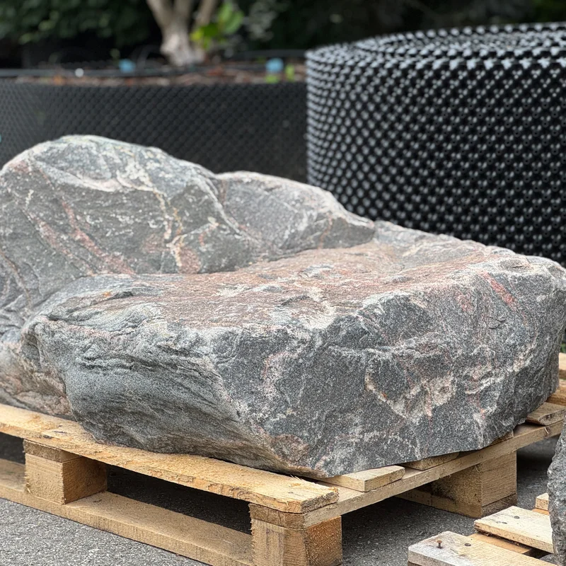 Žydinčio augalo sodinukas