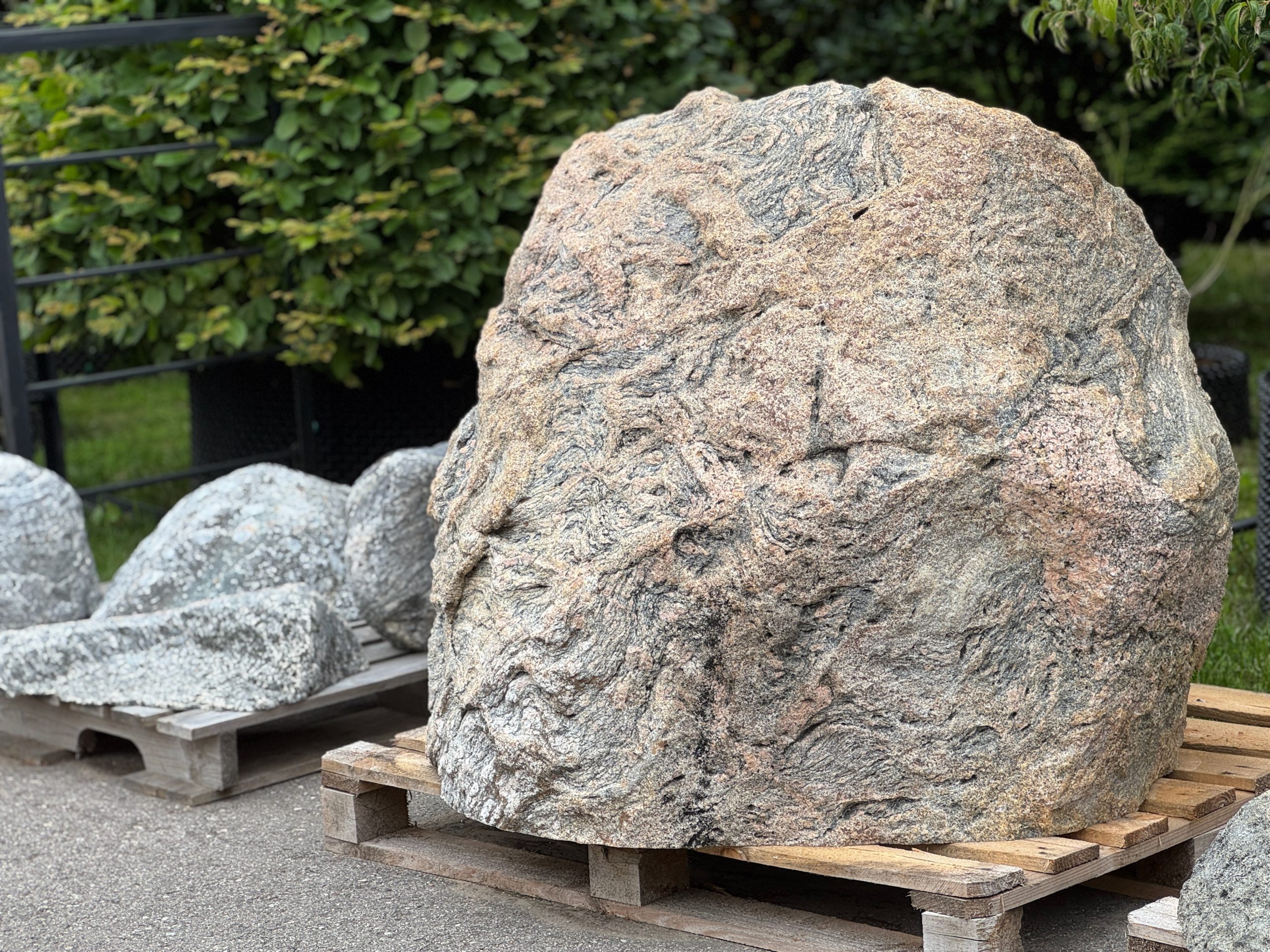 Žaliasis krūmas sodinimui