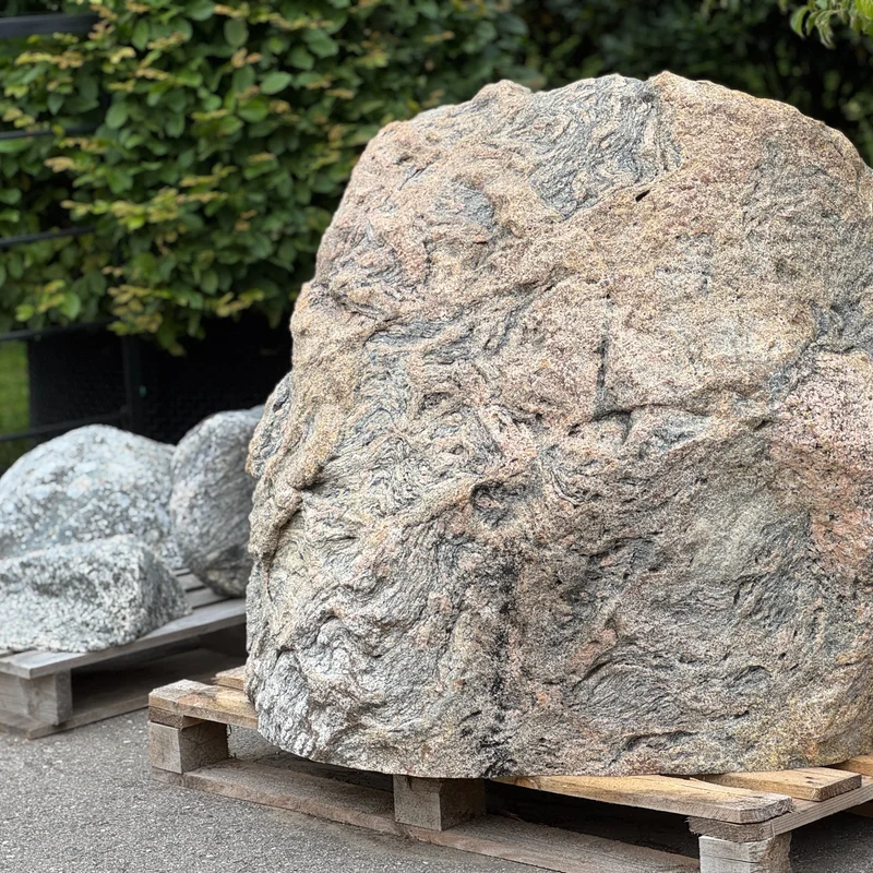 Žaliasis krūmas sodinimui