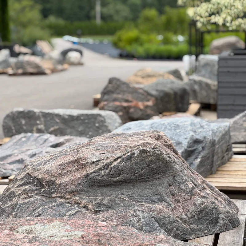 Daugiametis dekoratyvinis augalas