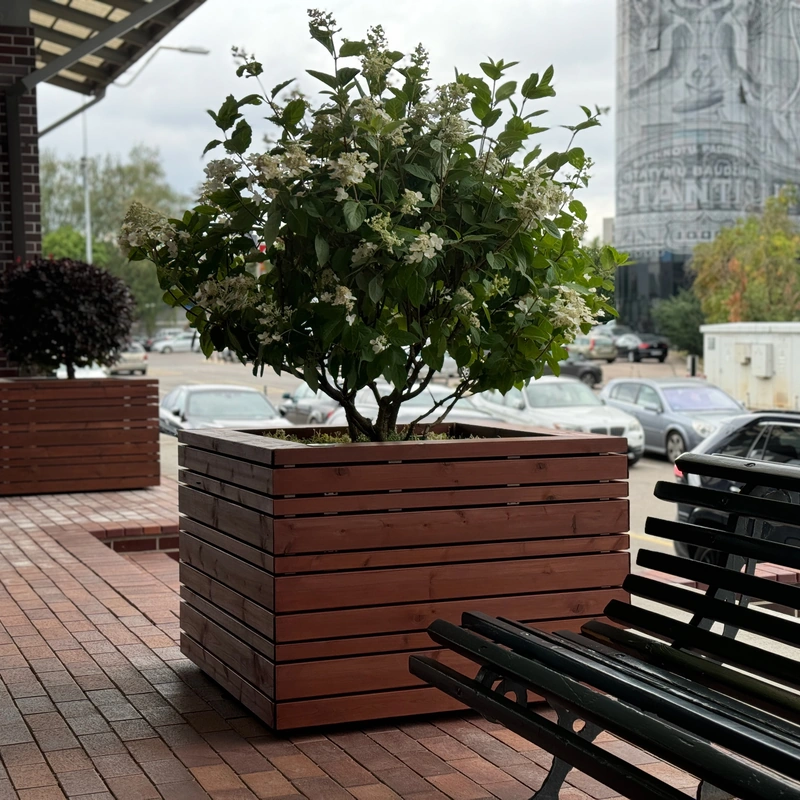 Medinis lauko vazonas su žydinčiu medeliu miesto aplinkoje