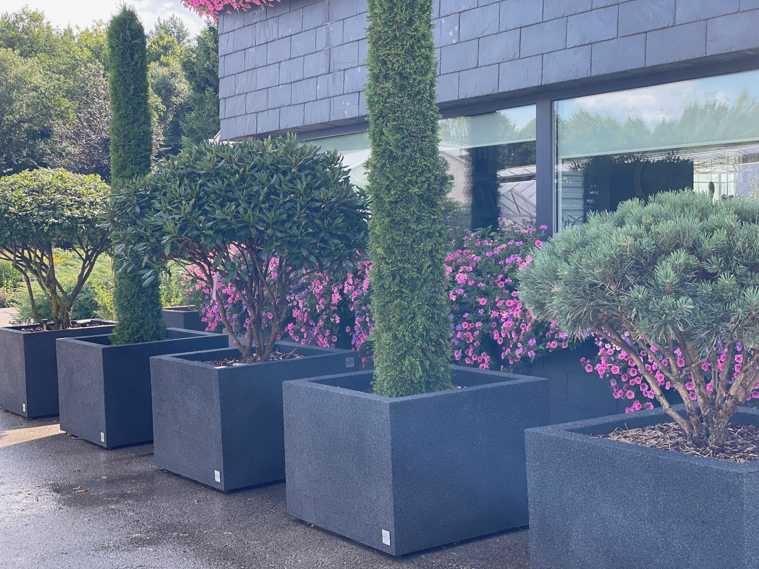 Dekoratyvinis lauko vazonas su augalais