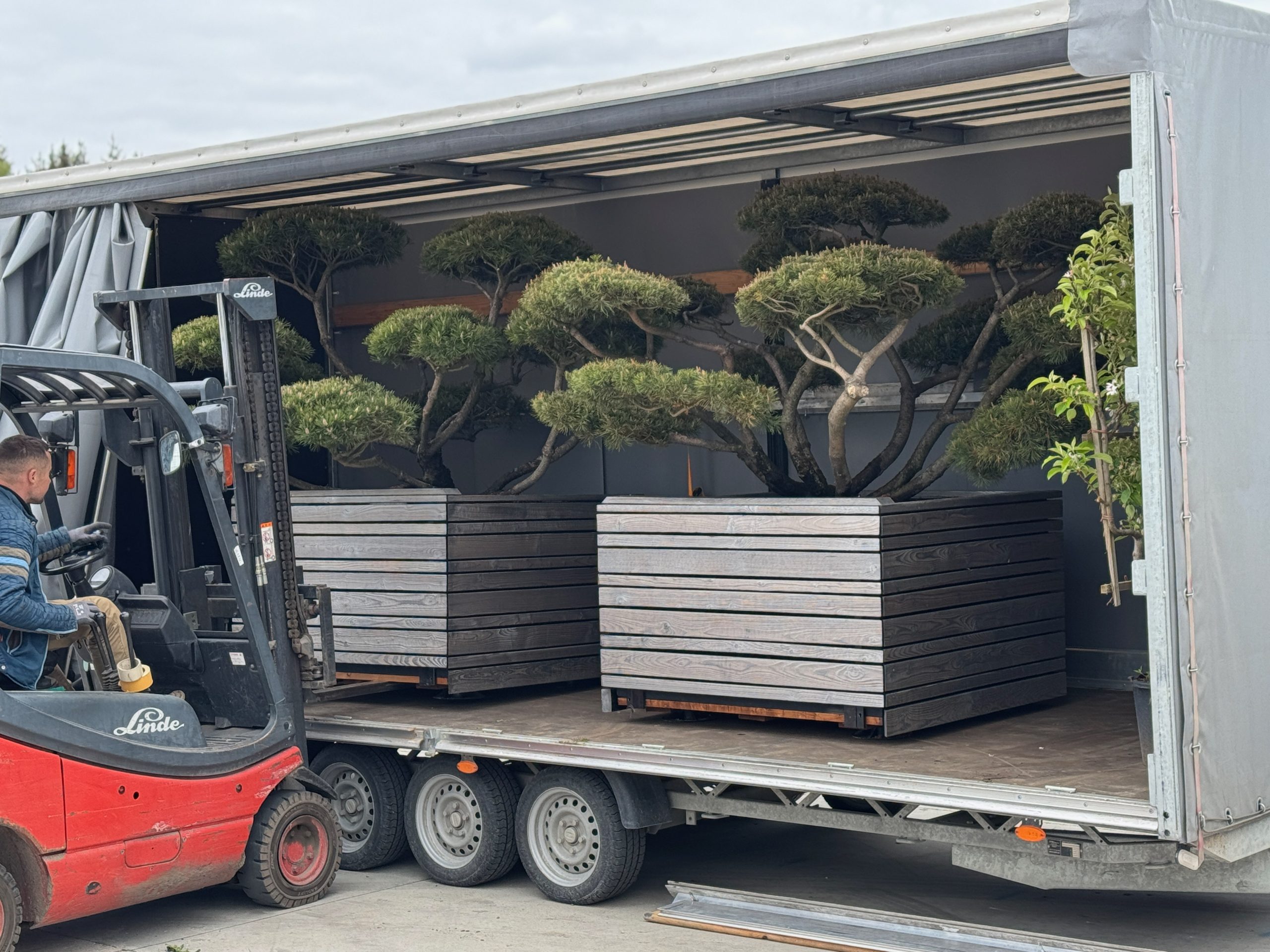 Dekoratyvinis vazonas su žydinčiais augalais