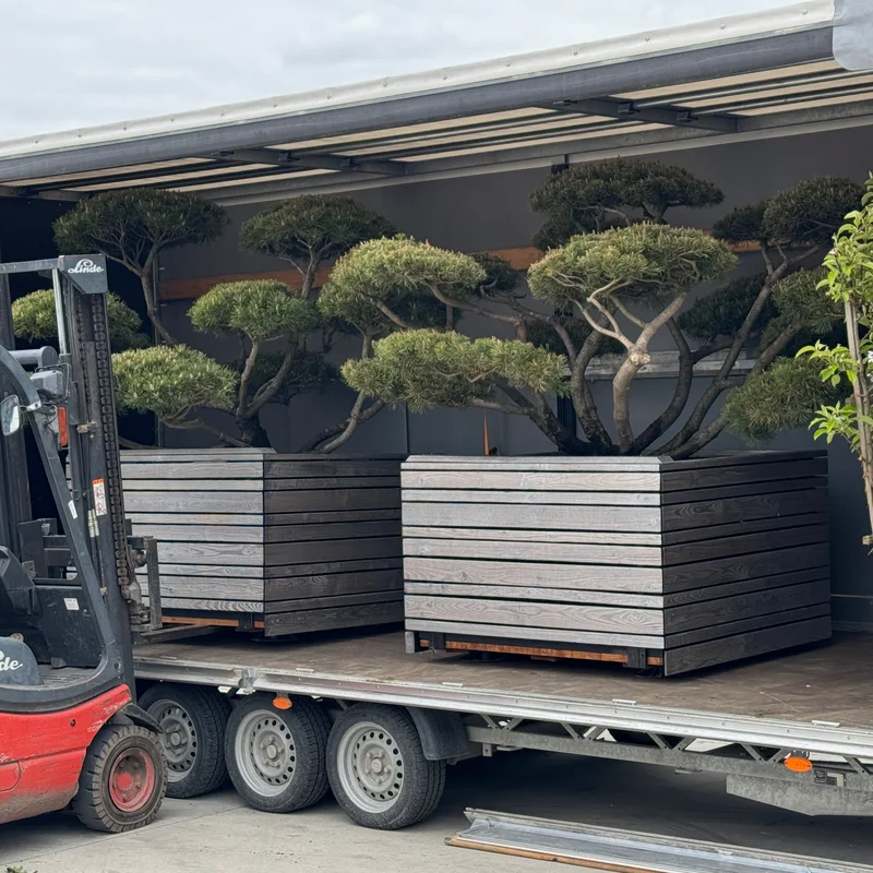 Dekoratyvinis vazonas su žydinčiais augalais